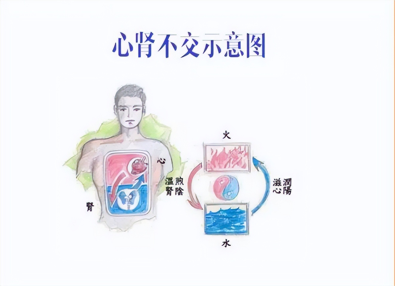 身体健康想要捐肾怎么捐_要想身体健康_身体健康想要生男孩子怎么办